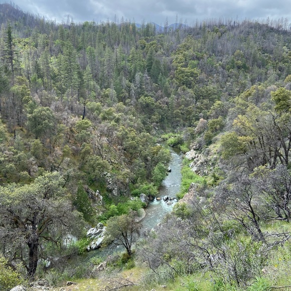 Meet your Posher, Drew - Picture 9 of 10